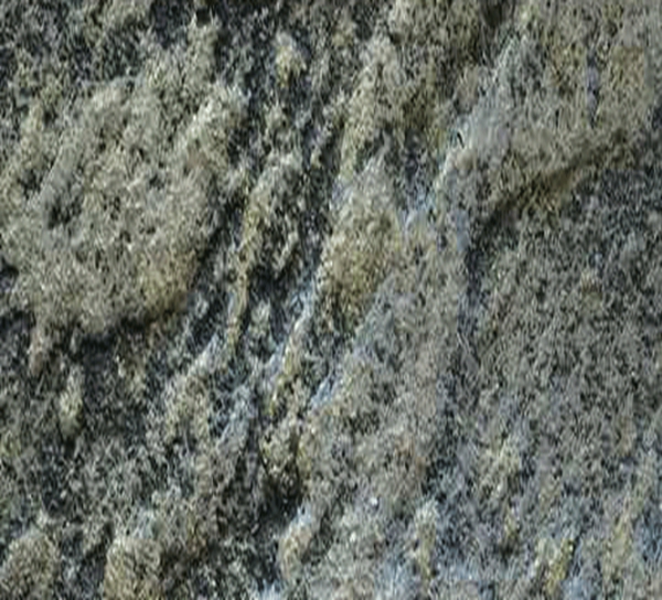 油漆外墙砖的优点是什么？